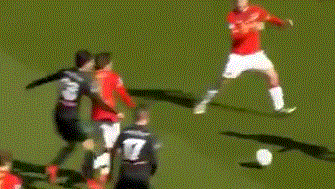 这个词似乎 这个词似乎