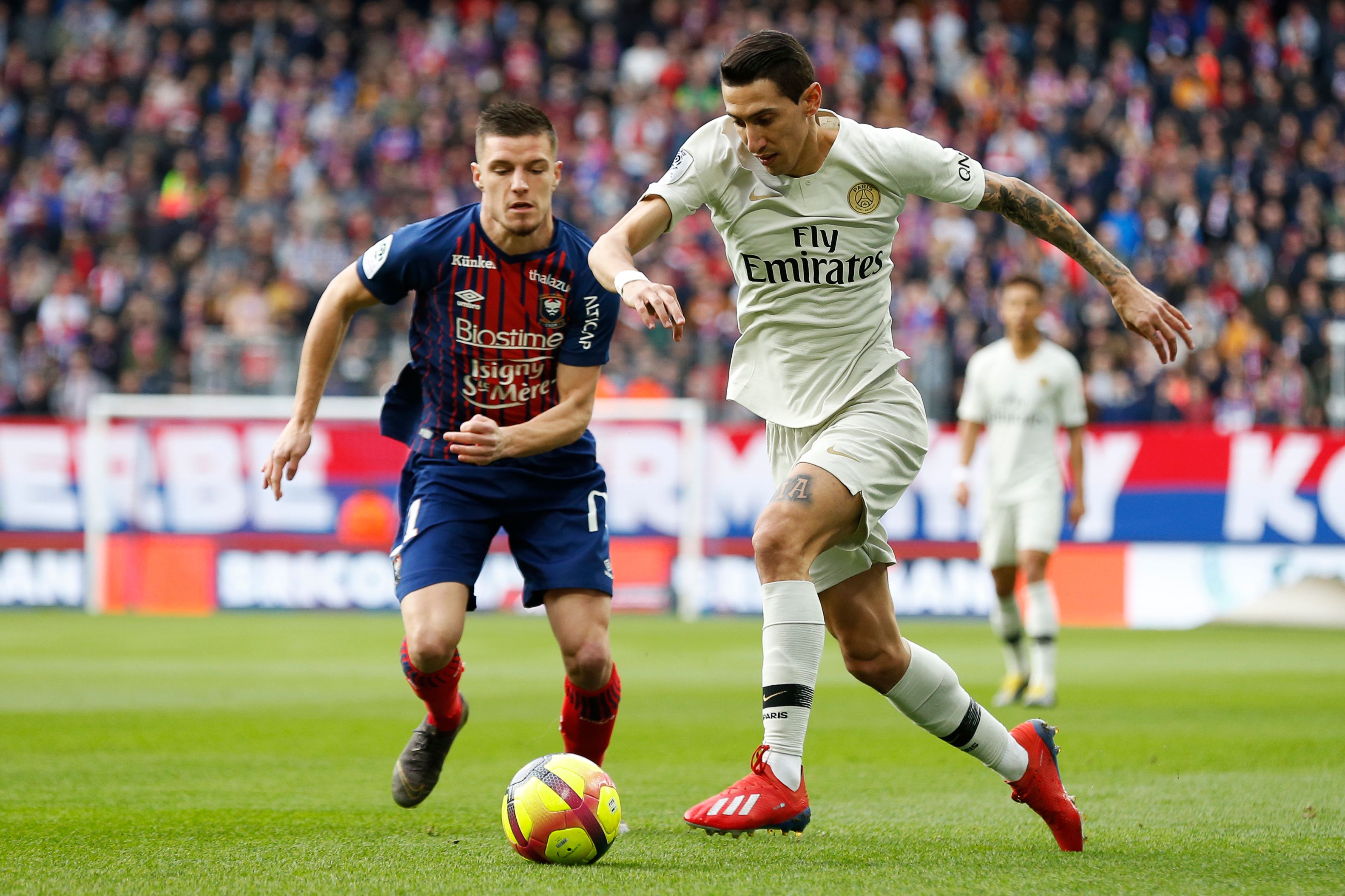 的设计颇具 的设计颇具